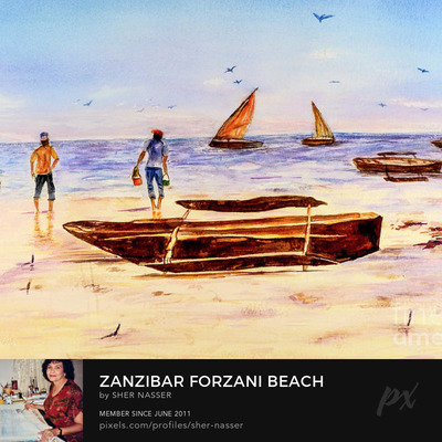 Zanzibar Forzani beach